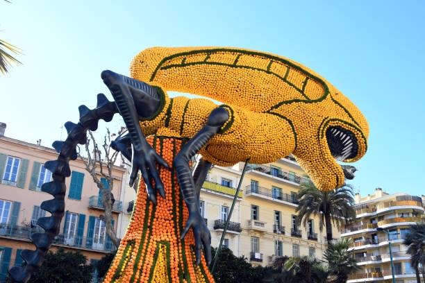 تصاویر جشنواره لیمو در منتون فرانسه تصاویر جشنواره لیمو در منتون فرانسه,عکس های جشنواره لیمو در منتون فرانسه در سال 2026,تصاویری از جشنواره لیمو در فرانسه