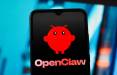 چت بات هوش مصنوعی,چت بات OpenClaw