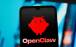 چت بات هوش مصنوعی,چت بات OpenClaw