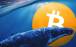 بیت کوین,نهنگ بیت کوین