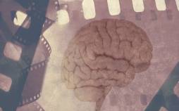 آلزایمر,کشف ارتباط آلزایمر با حالت بازپخش مغز