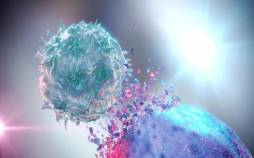 راهی نو برای کاهش آسیب به بافت سالم در درمان سرطان سرطان,راهی نو برای کاهش آسیب به بافت سالم در درمان سرطان