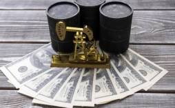 درآمد نفتی ایران,افشاگری مدیرعامل اسبق شرکت بازرگانی نفت ایران