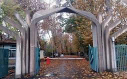 دانشگاه تهران,فضای تعطیل و نیمه‌تعطیل چهار دانشگاه تهران