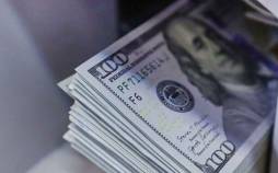 دلار,نرخ جدید دلار برای واردات کالاهای اساسی