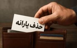 حذف یارانه,شرایط جدید حذف یارانه