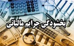 تمدید مهلت بخشودگی مالیاتی تا ۱۴ اسفندماه بخشودگی مالیاتی,تمدید بخشودگی مالیاتی