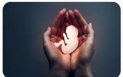 سقط جنین,توضیحات وزارت بهداشت درباره راه‌اندازی صفحه‌ای برای دریافت گزارش‌های مردمی سقط جنین