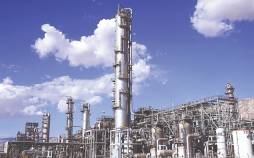 نرخ خوراک پتروشیمی,واکنش‌ها به تصمیم جدید دولت درباره نرخ خوراک پتروشیمی