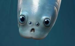 مهره‌داران,کشف جدید درباره مهره‌داران