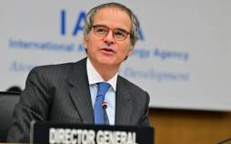 گروسی,مدیرکل آژانس بین‌المللی انرژی اتمی