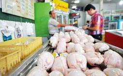 مرغ,واردات مرغ