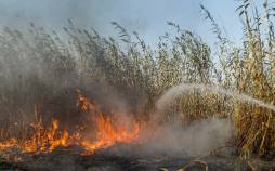 تالاب انزلی,تالاب انزلی همچنان در آتش