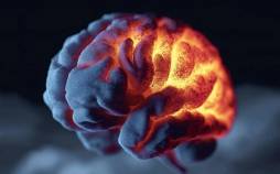 مغز,خطر زوال عقل با بیماری خاموش مغزی