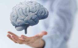 ۴ ماده غذایی که مغز شما را قوی نگه میدارند مغز,تقویت مغز