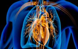 قلب,فواید داروی لاغری پرمصرف این روزها برای قلب