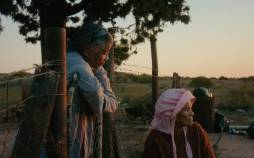 جشنواره فیلم روتردام ۲۰۲۶,برندگان جشنواره فیلم روتردام ۲۰۲۶