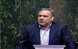 سید شمس‌الدین حسینی,ارز دولتی