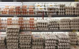 تخم مرغ,قیمت تخم مرغ