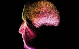 مغز,تغییر فعالیت مغز با مدیتیشن