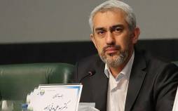 مدنی زاده,وزیر اقتصاد