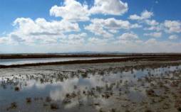 تالاب,اثر بارندگی‌های اخیر بر وضعیت تالاب ها