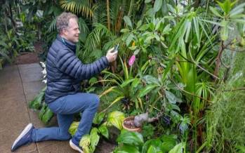 گیاهان,گفتگو گیاهان