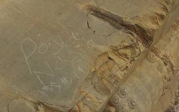 تخت جمشید,یادگارنویسی تازه در تخت جمشید