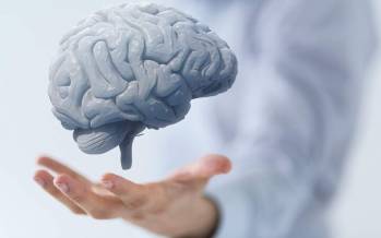 مغز,تقویت مغز
