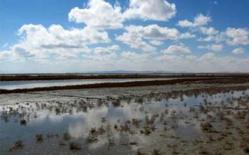 تالاب,اثر بارندگی‌های اخیر بر وضعیت تالاب ها