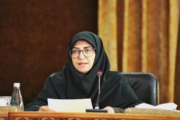 رئیس سازمان حفاظت محیط‌زیست,اصلاح قانون حمل سلاح