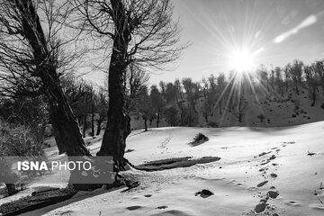پیش بینی وضع هوا,باران