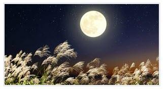 کاشت برنج در خاک ماه کاشت برنج در خاک ماه,ماه