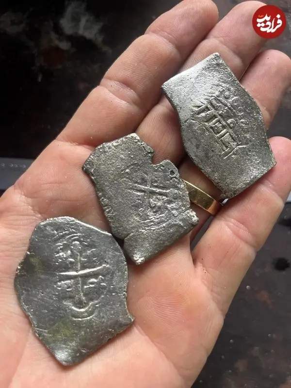 سکه و نقره سکه و نقره,گنج سکههای نقره و طلا در فلوریدا