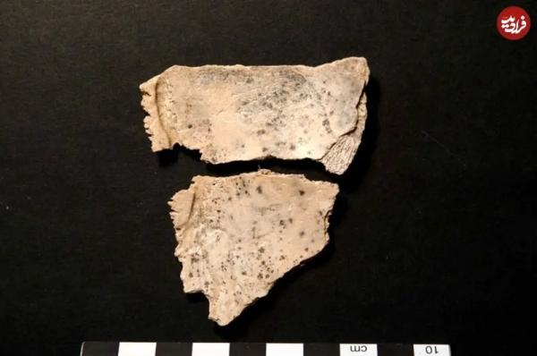 غار,خوردن مغز انسان‌ها در غار