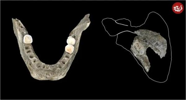 غار,خوردن مغز انسان‌ها در غار