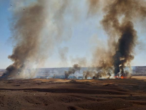 آتش سوزی در نیزارهای پرند,نیزار پرند