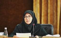 رئیس سازمان حفاظت محیط‌زیست,اصلاح قانون حمل سلاح