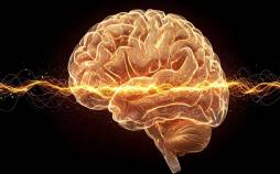 کلید خاموش و روشن کردن درد مزمن در مغز,