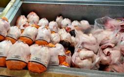 مرغ,کاهش مصرف مرغ