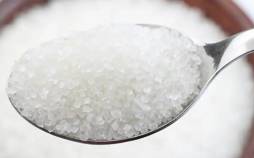 شکر,قیمت شکر