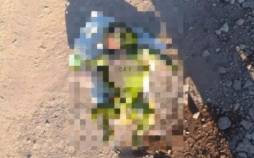 پیکر نوزاد,کشف پیکر نوزاد یک‌روزه در کانال آب ری - ورامین