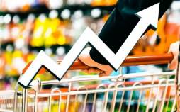 تورم در ایران,گرانی در ایران