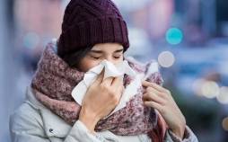 ویروس,کشف اسیدآمینه‌ای با توان تقویت سیستم ایمنی در برابر ویروس‌ها