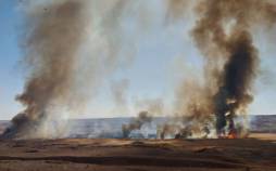 آتش سوزی در نیزارهای پرند,نیزار پرند