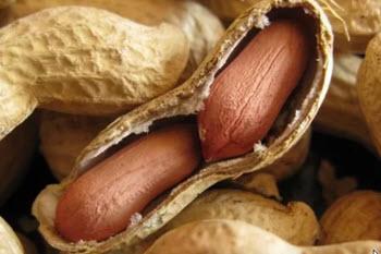 کپسولهای حاوی مدفوع کپسولهای حاوی مدفوع,افراد مبتلا به آلرژی شدید به بادام زمینی