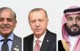 پیمان مکه,هم پیمانان عربستان