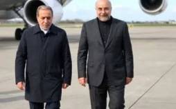 اسماعیل بقائی,سخنگوی وزارت امور خارجه
