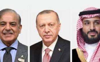 پیمان مکه,هم پیمانان عربستان