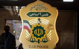 آزار جنسی کودکان, نیروی انتظامی
